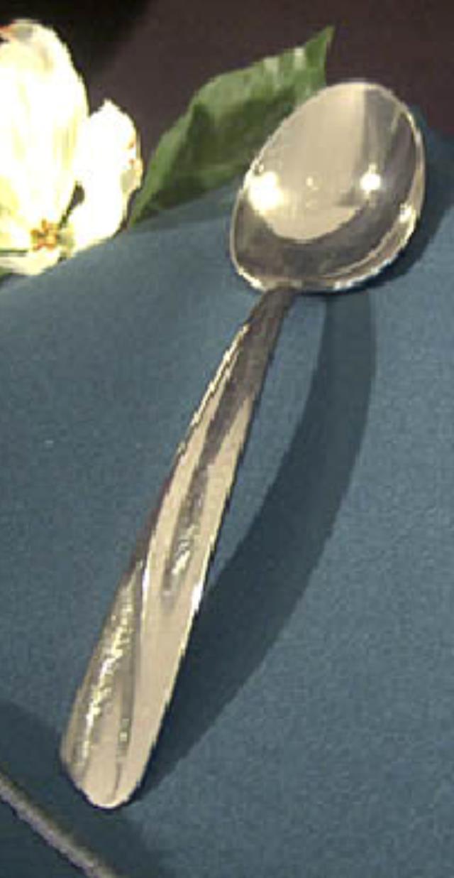 Where to find SERVING SPOON STAINLESS 8.5 in Edmonds