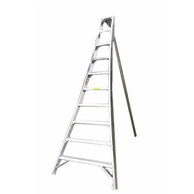 Where to find LADDER, ORCHARD 8 ALUM in Edmonds