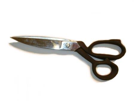 Rental store for SHEARS, CARPET 12 in Edmonds WA