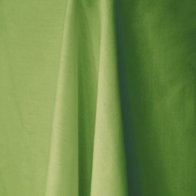 Rental store for LIME GREEN LINEN in Edmonds WA