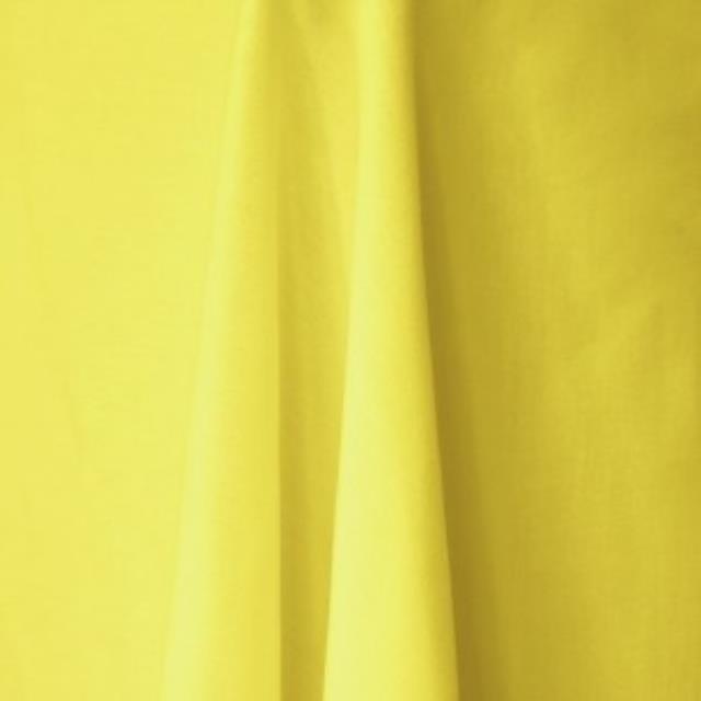 Rental store for LEMON YELLOW LINEN in Edmonds WA
