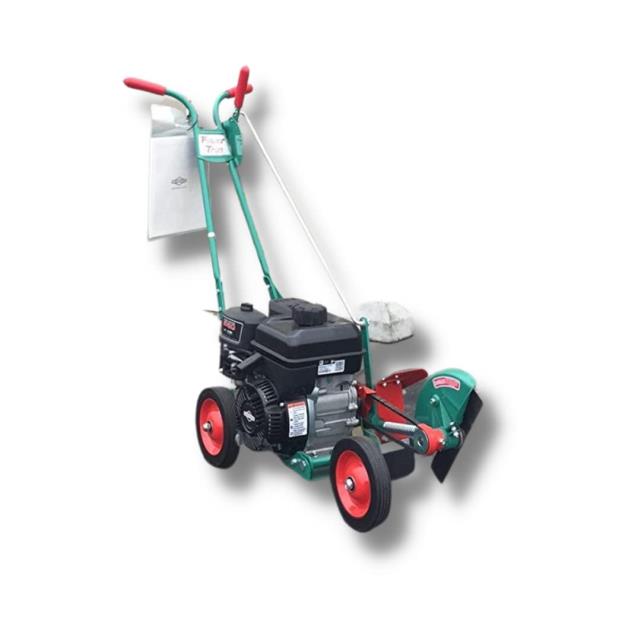 Rental store for LAWN EDGER, GAS in Edmonds WA