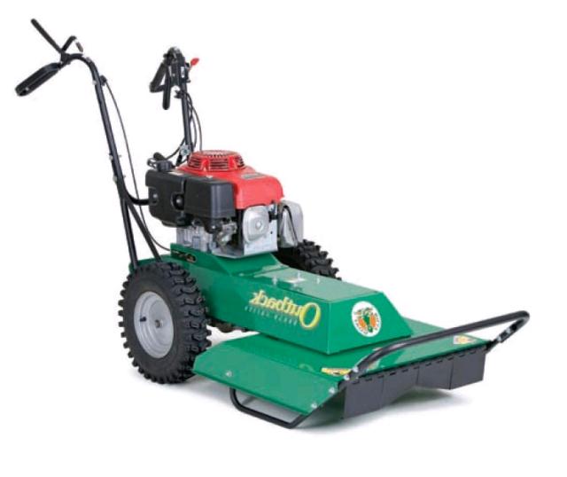 Rental store for BRUSH MOWER, WALK BEHIND SELF PROPELLED in Edmonds WA