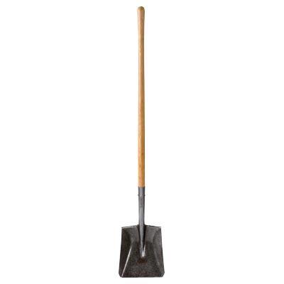 Rental store for SHOVEL, SQUARE NOSE in Edmonds WA