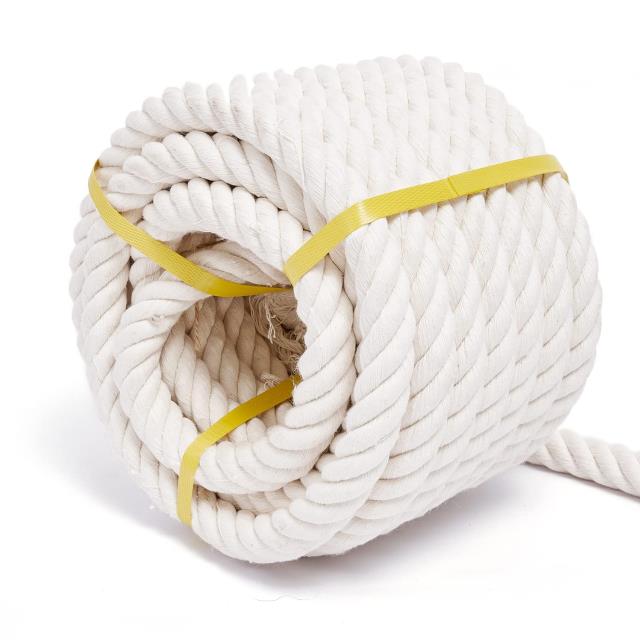 Rental store for ROPE, TUG O  WAR, 100 in Edmonds WA