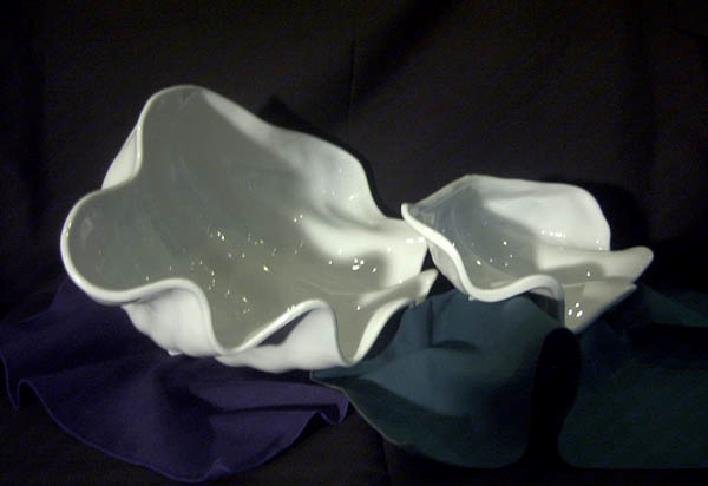 Rental store for BOWL, CLAM SHELL, SMALL in Edmonds WA