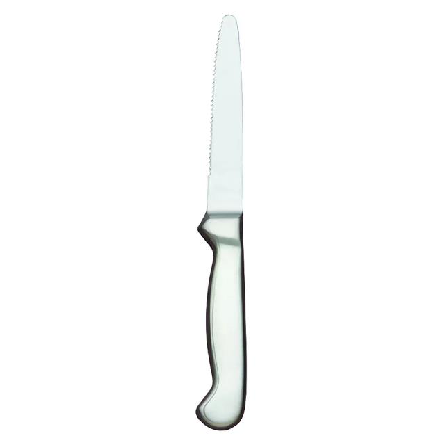 Rental store for STEAK KNIFE, STAINLESS, ROUND TIP in Edmonds WA